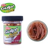 Berkley Gulp! Alive!® Angle Worm Natural