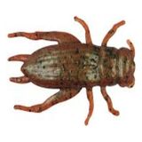 Berkley Gulp Alive Fish Fry 2 cm Lrf Silikon YEM/BREEN-1203213