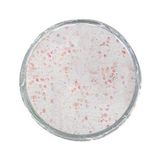 Berkley PowerBait Glow In The Dark Trout Bait Sahte Yemi