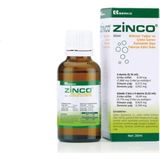Berko Zinco Bitkisel Yağlar Ve Çinko İçeren Takviye Edici Gıda 30 ml Damlalıklı Şişe Çocuklar İçin - 1