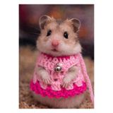 Berliva Home Hamster Örgü Elbise – Gezdirme Tasmalı Kemirgen Kıyafeti Pembe