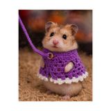 Berliva Home Hamster Örgü Elbise - Gezdirme Tasmall Kemirgen Kiyafeti Mor