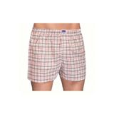 Berrak 2 Adet Karışık Renk Poplin Boxer