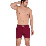 Berrak 2'li Renkli Boxer Short, L, OX1099, BORDO, erkek