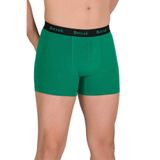 Berrak 2'li Yeşil Modal Kalın Kemerli Likralı Boxer, XL, BRK-4476-2, YEŞİL, erkek