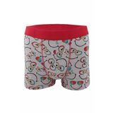 Berrak 4488 Modal Erkek Boxer Şort