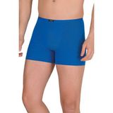 Berrak 4488 Modal Saks Mavi Erkek Boxer