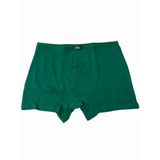 Berrak 4488 Modal Yeşil Erkek Boxer