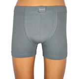 Berrak 4498 Renkli Füme Erkek Boxer