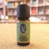 berrdoğal Nuka Hint Defnesi/Çay Ağacı Yağı 10 Ml - Damıtma (Organik - Fransa)