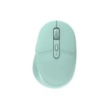 Berry Store Çift Modlu Bluetooth ve USB Dongle Kablosuz Mouse Dizüstü Bilgisayar ve Pc ile Uyumlu Ayarlanabilir 3 Farklı Dpı, Type-C Şarjlı Ultra Hafif Bilgisayar Faresi Turkuaz (G01 - Turkuaz)