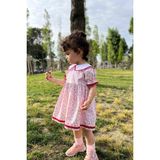 Bertuğ Bebek Dantel Detaylı Bebe Yaka Çiçekli Tasarım Kız Çocuk Bebek Elbise - 4 Yaş - Pembe