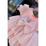Bertuğ Bebek Kız Çocuk Abiye Elbise Pudra Pembe Fisto Dantel ve Büzgü Süslemeli Tasarım - 1,5 - 2 Yaş