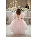Bertuğ Bebek Pembe Organze Kız Çocuk Bebek Kuyruklu Kabarık Abiye Elbise - 3 - 6 Ay