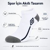 Beruflic Erkek 3’lü Spor Patik Çorap 39-44 Pamuklu Havlu Destekli Bilek Boy Beyaz Gri Under Moda - Standart - Renkli