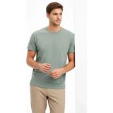 Beruflic Erkek Bisiklet Yaka Tişört Regular Kalıp Basic Pamuklu Günlük Kullanım Tshirt - Mint Yeşili