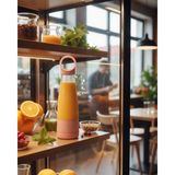 Beruflic Günlük Kullanıma Uygun USB Şarjlı Smoothie Blender - Renkli - standart