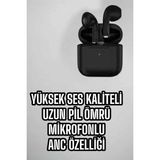 Beruflic Kablosuz Bluetooth Kulaklık Tws Çift Kulaklık Tws Pro 5 - Çok Renkli
