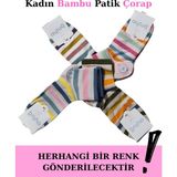 Beruflic Lavi Aytuğ 34290 Kadın Bambu Patik Çorap Moda - Standart - Asorti