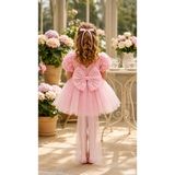Bes Trend Kız Çocuk Elbise Gül Detay Lı Kuyruklu Fiyonk Party Doğum Günü Elbise Pamuklu 1-7 Yaş - Açık Pembe - 1 Yaş