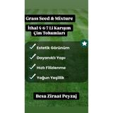 besa ziraat peyzaj 7 Günde Çimlenen 7 Mix Çim Tohumu Grass Mixture Çayır Çimen Tohumu 3Kg