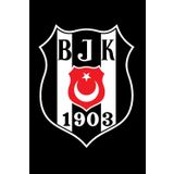 Besiktas JK Turkiye Besiktas Turkey Besiktas