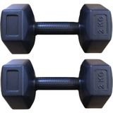 Besinistanbul Ps Spor 2 kg Dambıl x 2ADET = 4 kg - 2 x 2 kg