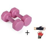 Besinistanbul Psspor 2 x 1 Pembe Renk Dambıl Set + Body Eldiveni - 1 x 2 kg