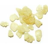 BESLENME DEDEKTİFİ DAMLA SAKIZI (10 Gr)