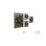Best Notes Spiralli Sert Kapak Not Defteri 20X28cm 120 Yaprak Kareli (2 Li Paket) 5082