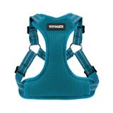 Best Pet Supplies Voyager ayarlanabilir köpek koşumu, yürüyüş için yansıtıcı şeritli, koşu, dayanıklı tam vücut tasmasız D halkalı yelek, nefes alabilir, dört mevsim - koşum takımı (turkuaz), XS