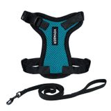 Best Pet Supplies Voyager Step-in Lock Koşum Takımı - Tüm Hava Koşullarına Uygun File, En İyi Evcil Hayvan Malzemelerinden Kedi ve Köpekler için Koşum Takımında Ayarlanabilir Adım - Turkuaz/Siyah Kesim, XXS
