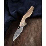 Bestech Knives BESTECH THE RETICULAN BT1810J Titanyum Sap Damascus Çelik Mini Çakı
