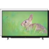 Bestoclass Altus AL55L 8850 5B Uyumlu Tv Ekran Koruyucu