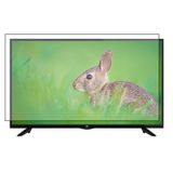 Bestoclass SEG 55SC7610 Uyumlu Tv Ekran Koruyucu