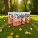 Bestpet Somonlu 4x1 kg Kısırlaştırılmış Yetişkin Kuru Kedi Maması