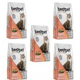 Bestpet Sterilised Somonlu 5x1 kg Kısır Kedi Maması