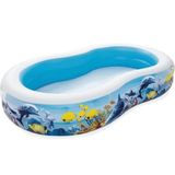 Bestway 54118 262x157x46 cm Aile Havuzu