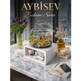 Beta Fanus Akvaryum Dekoratif Masa Üstü Balık Fanusu Modern Ev Ofis Dekoru Şık Tasarım