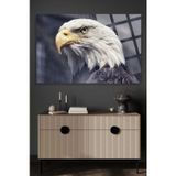 Beta Moda Hub Görkemli Kartal 4Mm Lüks Kırılmaz Temperli Yüksek Çözünürlüklü Cam Tablo