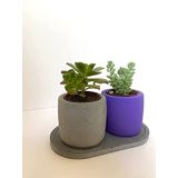 BETON 2'Lİ SUKULENT KAKTÜS SETİ DEKORATİF ÖZEL GÜN HEDİYELİK