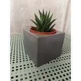 BETON BÜYÜK BOY MEGA SUKULENT KAKTÜS SAKSI 8,5 CM