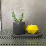 BETON KAKTÜS/SUKULENT SAKSI VE TEALİGHT MUMLUK SETİ EV DEKORASYONU ÖZEL GÜN HEDİYELİK%100 BETON