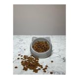Beton Kedi ve Köpek Kuru Mama Kabı 100 g
