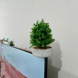 Beton Saksıda Dekoratif Çakıl Ağaç 14x30 cm
