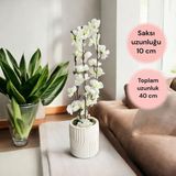 Beton Saksıda Gerçek Taş Yosunlu Yapay Japon Kiraz Çiçeği,saksı ,aranjman , Ev Dekorasyon, - Beyaz