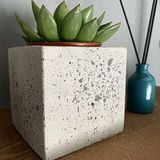 BETON TERRAZZO DEKORATİF MEGA SUKULENT KAKTÜS SAKSI