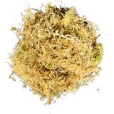 Betonish Sphagnum Yosunu 10 Lt