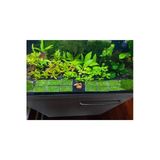 Betta Didyma Java Moss Akvaryum Bitkisi 5X5 Tele Sarılı 10'Lu Paket