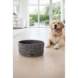 Bev Kitchen Porselen Kedi Köpek Mama ve Su Kabı Yeşil (14CM&5.5 Cm)